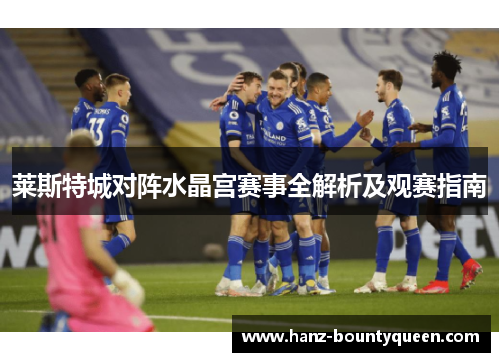 莱斯特城对阵水晶宫赛事全解析及观赛指南