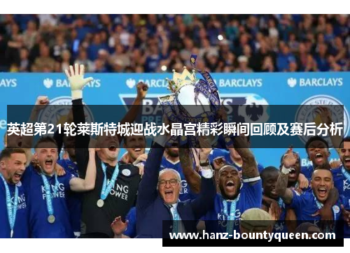 英超第21轮莱斯特城迎战水晶宫精彩瞬间回顾及赛后分析 英超第21轮莱斯特城迎战水晶宫精彩瞬间回顾及赛后分析