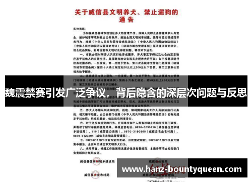 魏震禁赛引发广泛争议，背后隐含的深层次问题与反思