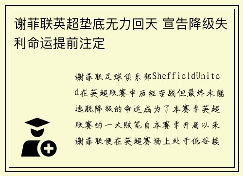 谢菲联英超垫底无力回天 宣告降级失利命运提前注定